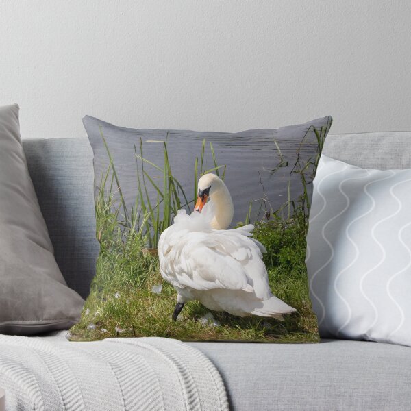 Item preview, Preening Swan designed and sold by Daniel Baker Photography.