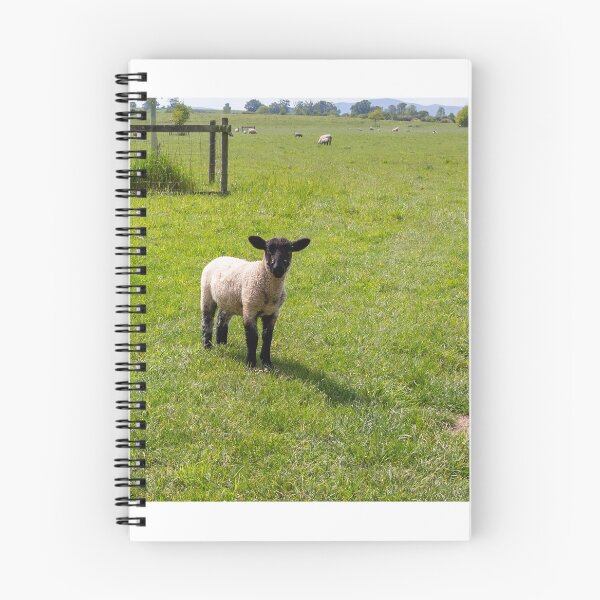 Item preview, Lamb designed and sold by Daniel Baker Photography.