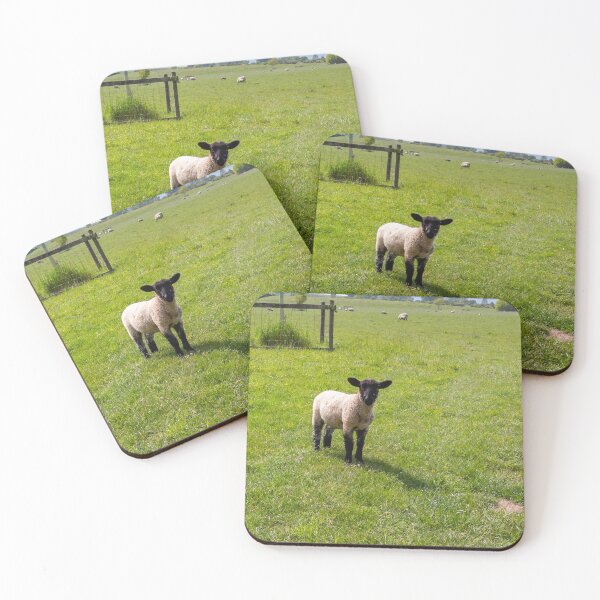 Lamb Coasters (Set of 4)