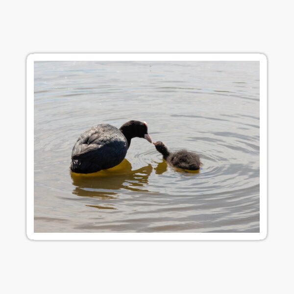 Feeding her baby Sticker