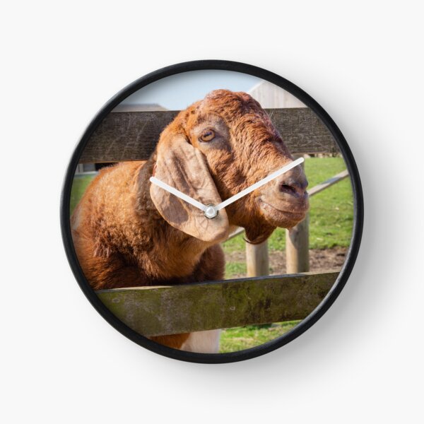 Goat on a fence Clock