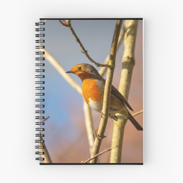 Item preview, Robin Red breast designed and sold by Daniel Baker Photography.