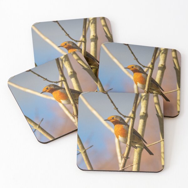 Item preview, Robin Red breast designed and sold by Daniel Baker Photography.