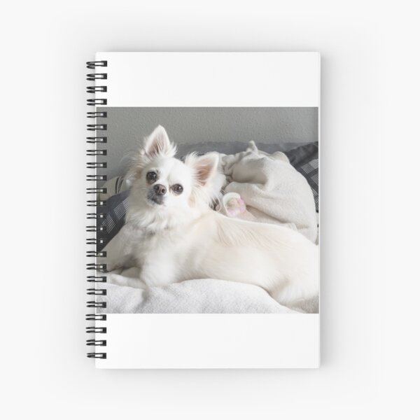 Cozy chihuahua Spiral Notebook