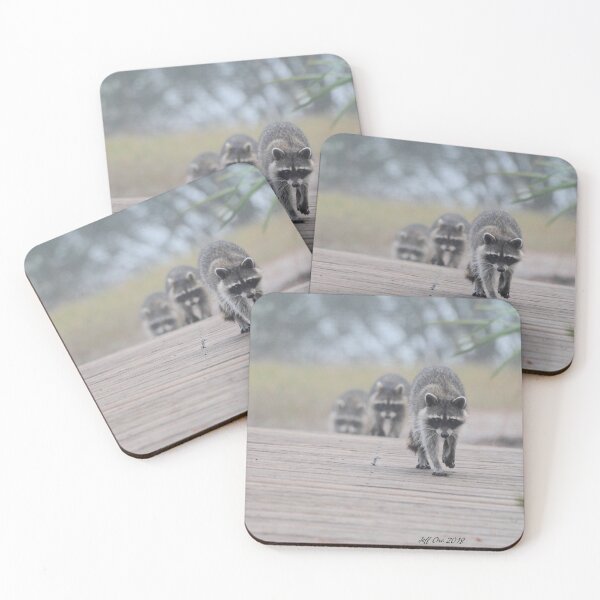 Item preview, Foggy Morning Raccoons designed and sold by Jeff Ore.
