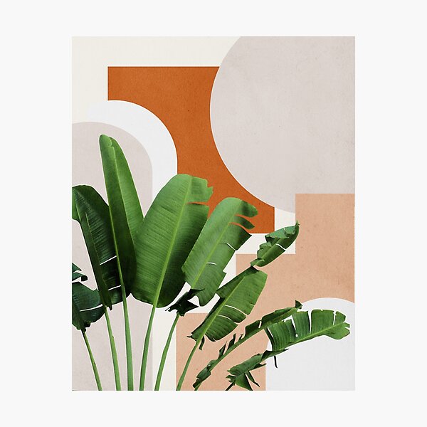 Abstract shapes art, Tropical banana leaves, Mid century modern art Photographic Print