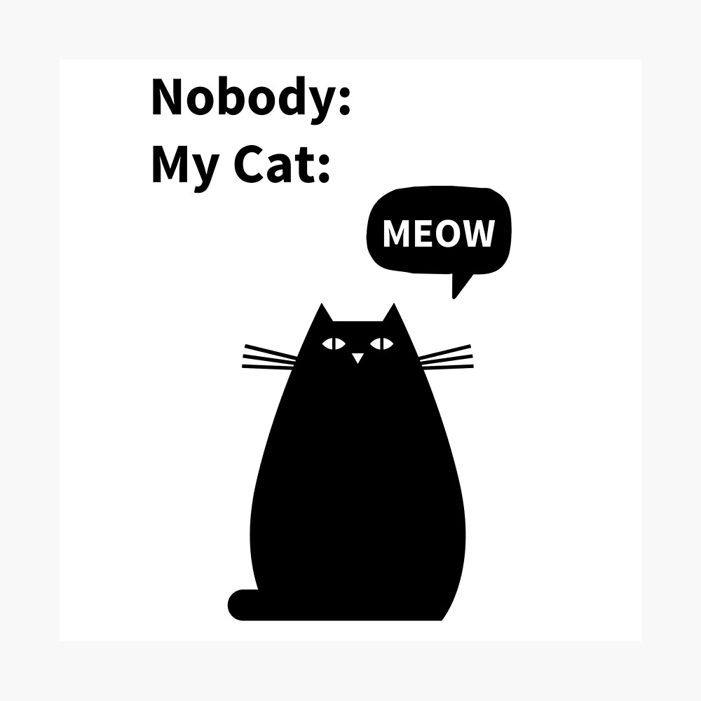 Poster Personne Mon Chat Miaou Meme Par Artstheticcoll Redbubble