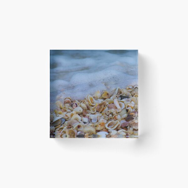 Item preview, Sanibel Shells designed and sold by ocassinari.