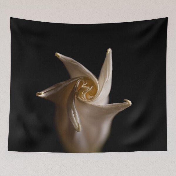 Item preview, Angel Trumpet Pinwheel designed and sold by Adam Bykowski.