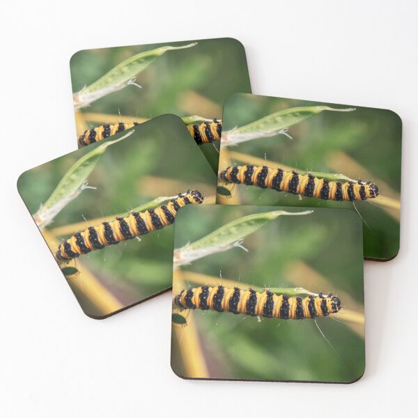 Item preview, Cinnabar Caterpillar (II) designed and sold by DonMc.