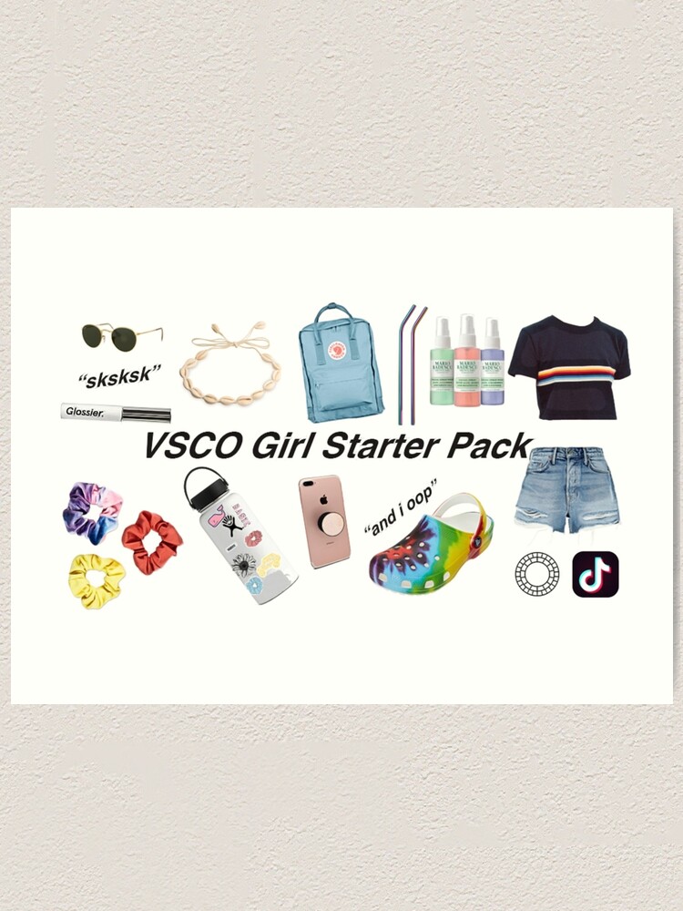 Alternate view of vsco girl starter pack, vsco girl packs Art Print