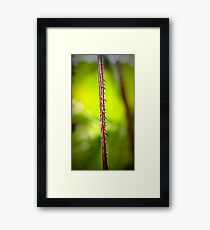 Spike Green Framed Print