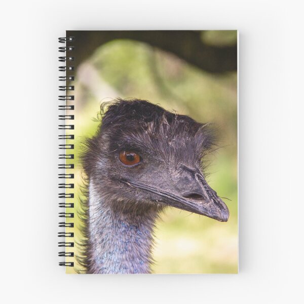 Item preview, Emu ready for my close up designed and sold by Daniel Baker Photography.