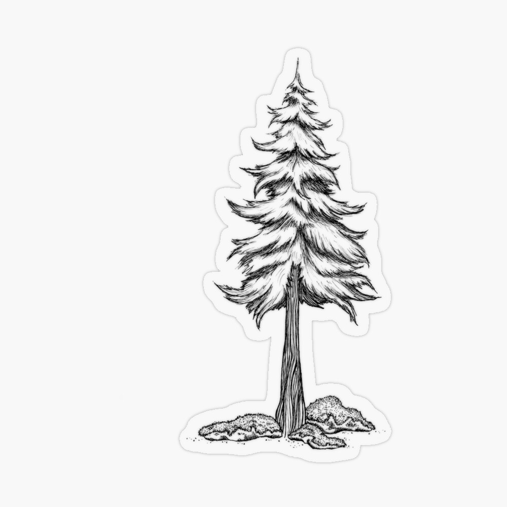 Jesse Smith on Instagram: “Giant sequoia sketch in pen and ink.  #1000perfectlines … | Tree silhouette tattoo, Pen and ink, Tree drawing