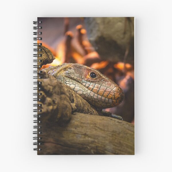 Item preview, Fire Lizard designed and sold by Daniel Baker Photography.