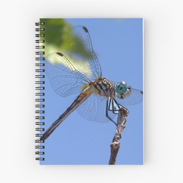 Item preview, Here's looking at You designed and sold by Brenda Burnett.