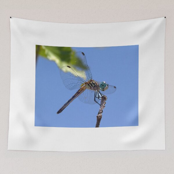 Item preview, Here's looking at You designed and sold by Brenda Burnett.
