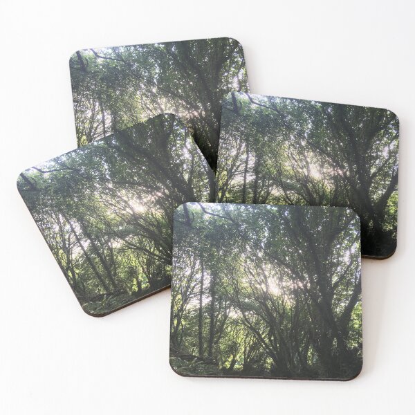 Item preview, Sunshine through the trees designed and sold by colourtheory.