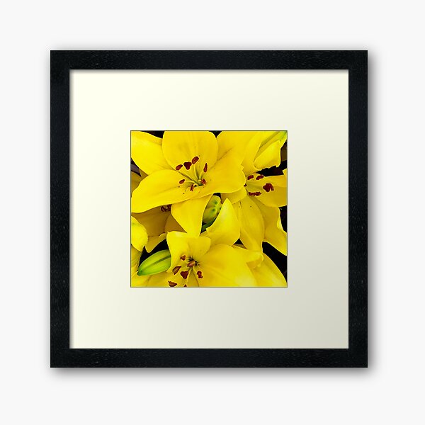 Item preview, Exotic, Luxurious, Bright Yellow Lilies Art Photo designed and sold by DEC02.