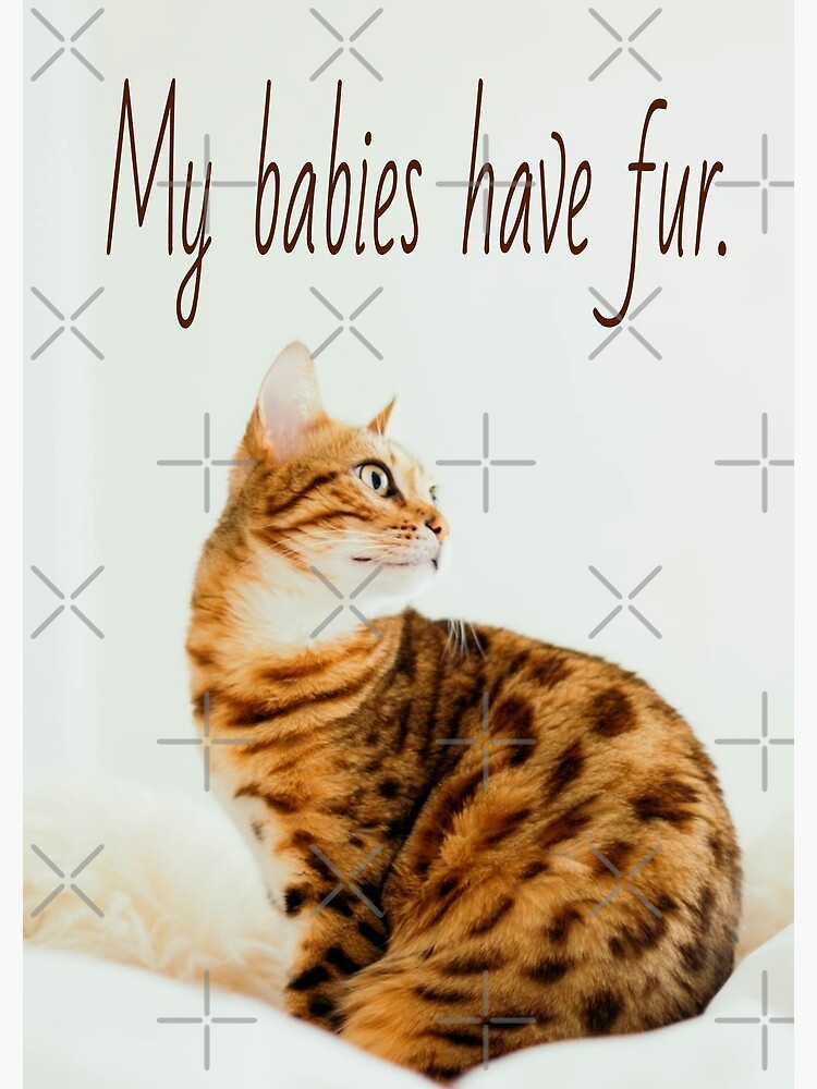 Cat Lover, Cute Kitten Meme, My babies have Fur | Spiral Notebook