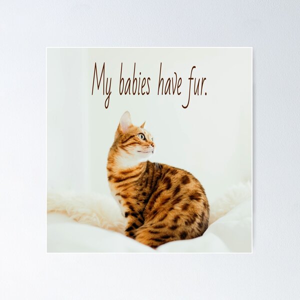 Item preview, Cat Lover, Cute Kitten Meme, My babies have Fur designed and sold by mwagie.