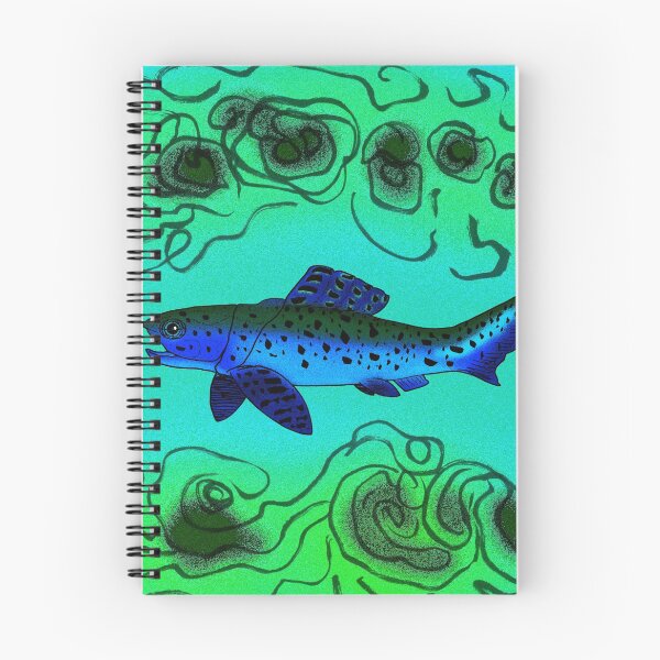 Item preview, Brachydeirus grandis designed and sold by Stanton.