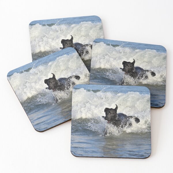 Item preview, Pure Joy designed and sold by Kathleen Brant.
