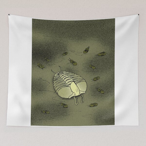 Item preview, Carinocranium cariniferum designed and sold by Stanton.
