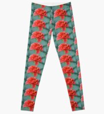 Rain Filled Rose......Lyme Dorset UK Leggings