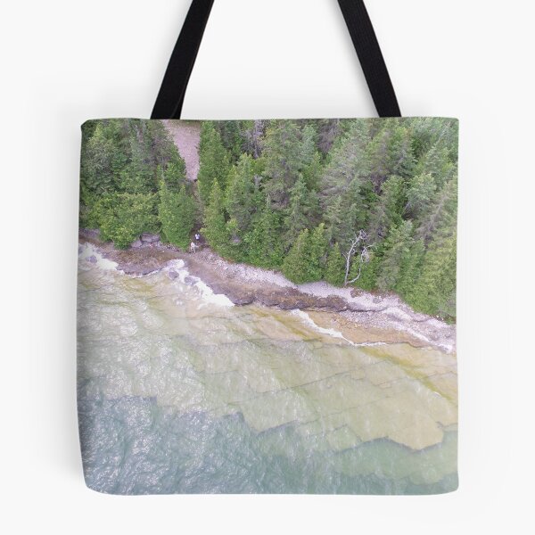 Item preview, Repisas fósiles, Drummond Island, MI designed and sold by lovenematodes.