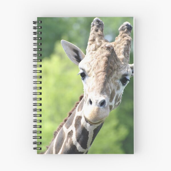 Item preview, Willy the Giraffe designed and sold by BSG-C-Rebels.
