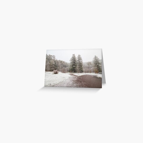 Snow on Mt Franklin Greeting Card