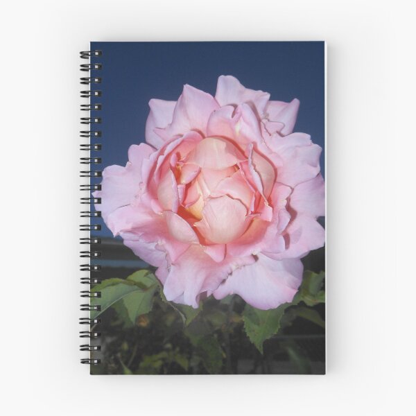 Item preview, pinkrose darksky 07/30/19 designed and sold by Shellaqua.