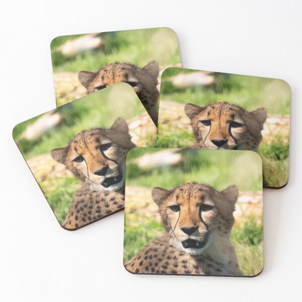 Item preview, Cheetah Face designed and sold by BusterCM69.