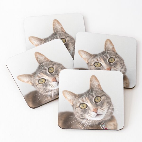 Item preview, Tortoiseshell Cat designed and sold by suziq1962.