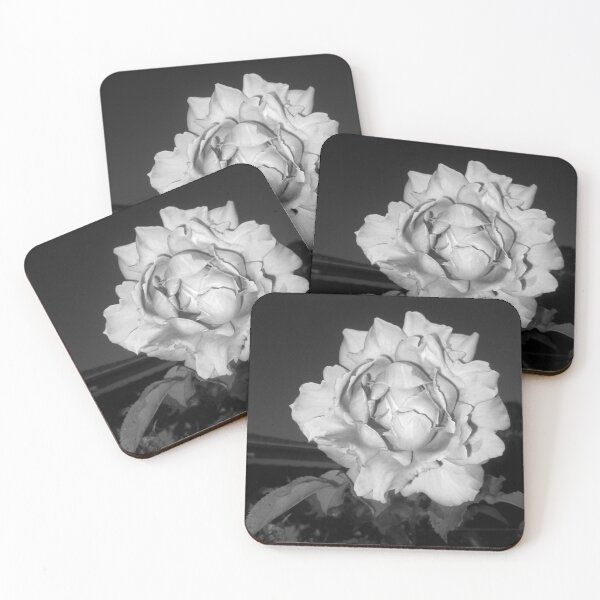 Item preview, fluffy rose bw 07/30/19 designed and sold by Shellaqua.