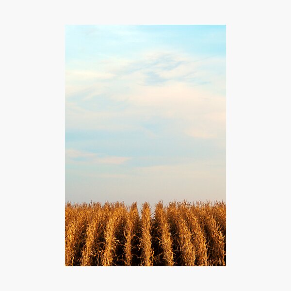 Item preview, South Dakota VI designed and sold by kevinw.