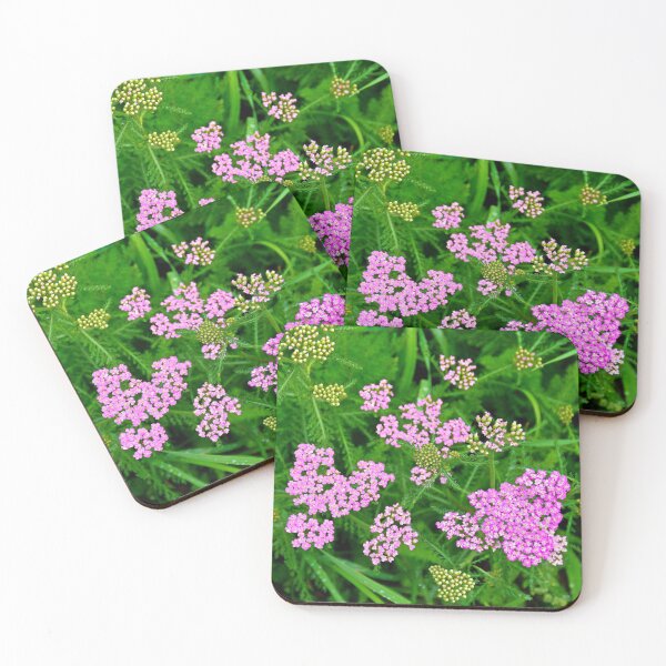 Item preview, Glen Haven Wildflower Study 2  designed and sold by Robert Meyers-Lussier.