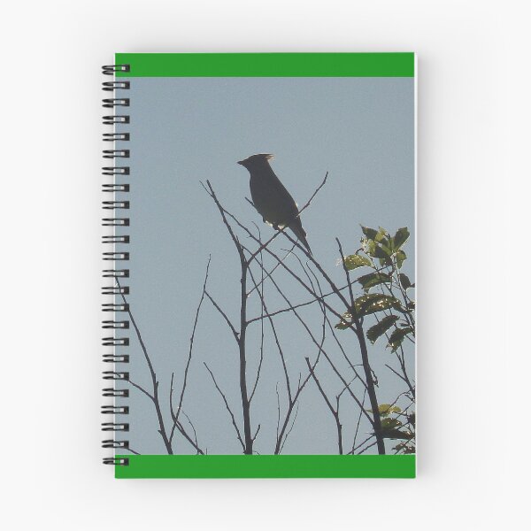 Item preview, Bird Silohette                                        Pentax  Digital X-5 16 MP designed and sold by TKUsitalo.