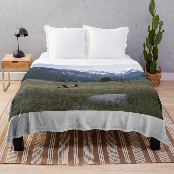 Item preview, Elk, Rocky Mountain National Park, Colorado designed and sold by Mike Kunes.