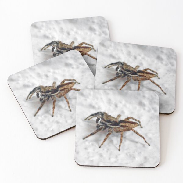 Item preview, ©NS A Spider Life XXXVII. designed and sold by OmarHernandez.