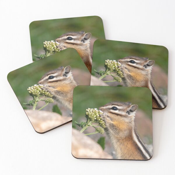 Item preview, Chipmunk and flowers designed and sold by Eivor Kuchta.