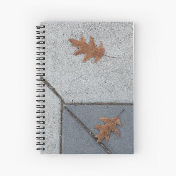 Fall Sidewalk Spiral Notebook