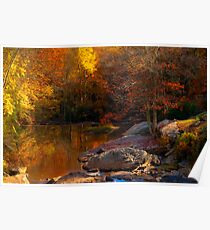 Fall Reflections Poster
