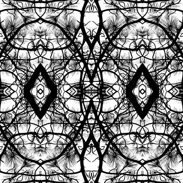 Artwork thumbnail, branch pattern by Alan Klughammer