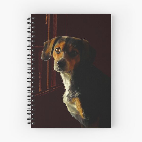 Item preview, Starbuck designed and sold by PatSeg Photos.