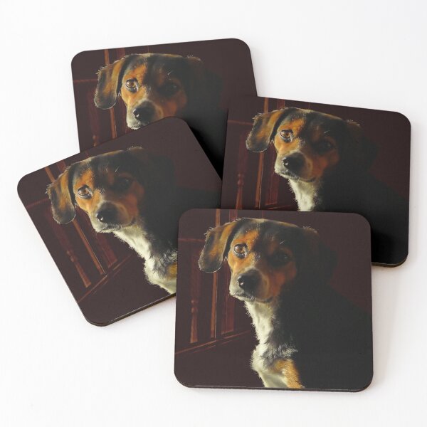 Item preview, Starbuck designed and sold by PatSeg Photos.