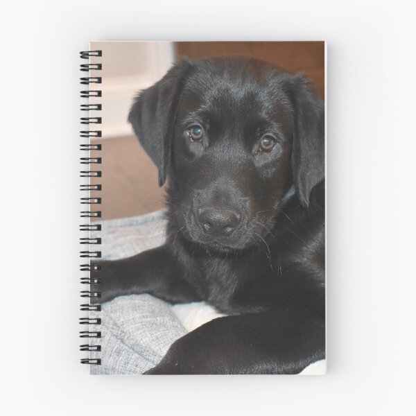 Item preview, Puppy Smokey designed and sold by Kathleen Brant.