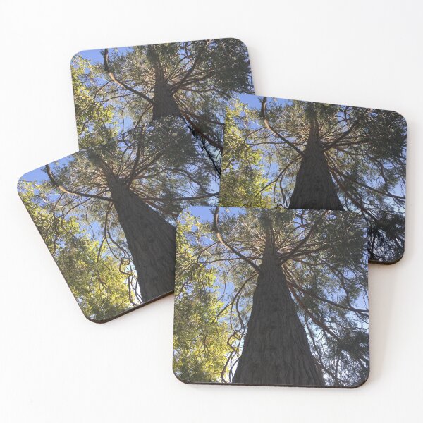 Item preview, Sturdy trunk, spindly branches designed and sold by Rita Kindle.