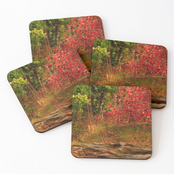 Item preview, Red Shrubs in Montana, Fall Colors, Autumn Foliage, Pretty Plants designed and sold by LCAppling.